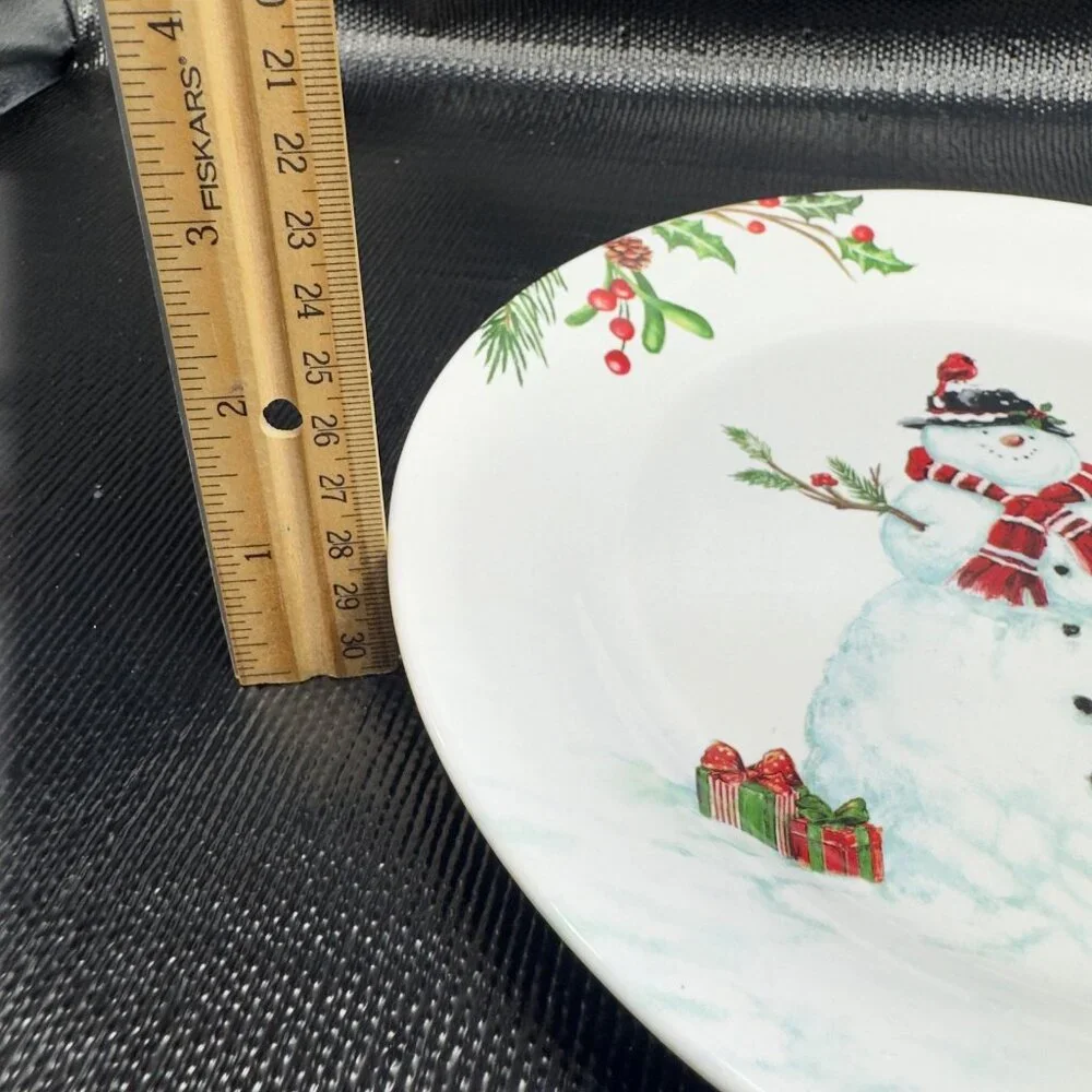 PIER 1 Winter Wonders Ironstone Plate Dish Set 4 Snowman Penguin Christmas 9inch